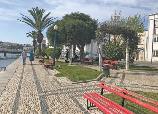 Publisher’s Column: Tour of Europe Showcases the Benefit of Eliminating the Automobile in Town Areas