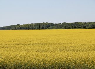 A Message from Your Local Farmers: Keep Your Selfies to the Roadside
