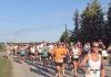 67th Annual Wiarton Shore To Shore Race August 5th