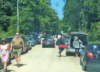 Letter: Overuse/Degradation at Little Cove; Requires More Active Management