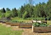 Meeting Place Launching Community Learning Gardens Program