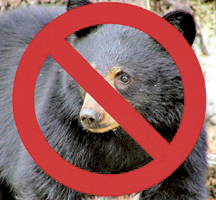 Why and How to Safely Compost at Home Bruce Peninsula Press