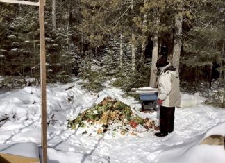 Letter: Compost Queen – A Personal Example