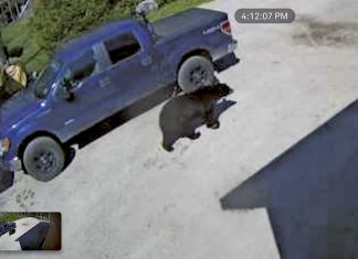 Letter: Response to “Compost Queen” (BPP Letter Issue #6/21)