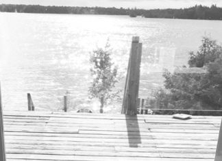 Letter: Olli – a Feline Squeegee Kid