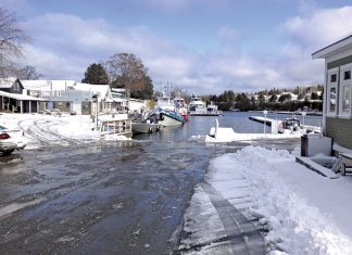 Another Car Drives into Tobermory Harbour “Hah! I Told You So,” Says Chicken Little