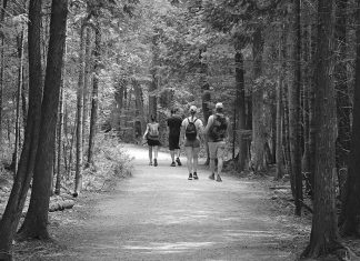 Pedestrian/Cycling Improvements Don’t Need to Be Complicated or Expensive