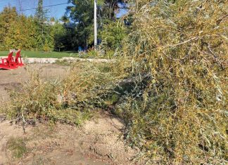 Letter: A Tale To Make You Weep