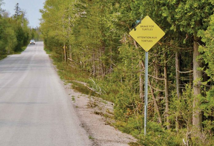 NCC-#8-23-Cape_Hurd_Turtle_Sign