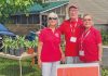 Lion’s Head Hospital AuxiliaryHost Pop-Up Plant Sale