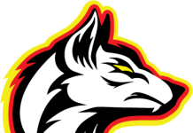 BPMHA Launching Girls Hockey Program for Next Season