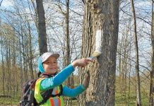 Volunteering – Just Do It! PBTC Celebrates Local Volunteers
