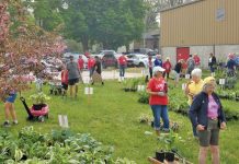 Plant Sale June 1st in Lion’s Head