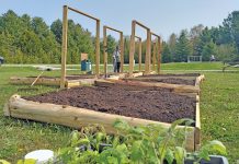 Learning Gardens at Tobermory Community Park to Start Soon