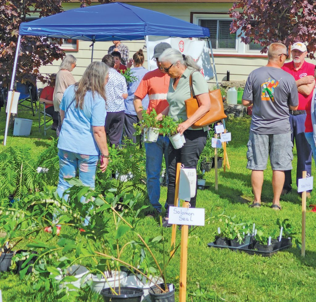 Spring Busting Out Spring is Busting Out All Over: Lion’s Head Hospital Auxiliary Launches ...