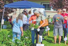 Happy Gardeners Come Out in Full Force to Hospital Auxiliary Plant Sale