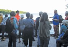 Stopped in Awe: News from Tobermory United