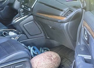 Letter: Enjoy The Landscapes of The Bruce, Not Literally Bring It Home With You