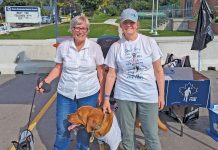 Is Terry Fox your Hero?