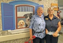 Golden Dawn Showcases Colourful Hallway Murals At Open House
