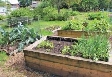 Grow With Us at Golden Dawn Seniors Citizen Home By Purchasing Raised Garden Beds