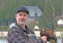 MNBP Launches Pilot Project to Deter Geese at Lion’s Head Beach
