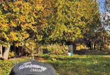 Bruce Peninsula Biosphere Association Welcomes New Leadership