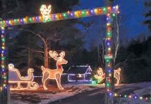 Lindsay Road 20 Christmas Light Display Wows Neighbours