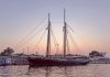 Tall Ships Spotted at Tobermory
