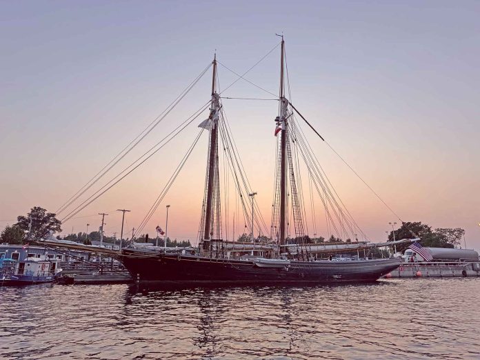 #14-Ernestina-Morrissey