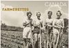 Bruce County Memories: Farmerettes, The Unsung Heroes On The Home Front