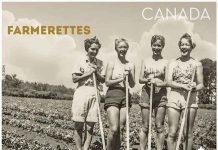 Bruce County Memories: Farmerettes, The Unsung Heroes On The Home Front