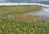 Local Family Donates 46-Hectare Property Near Wiarton To Nature Conservancy of Canada
