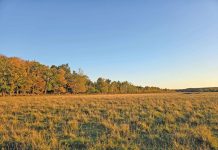 Escarpment Biosphere Conservancy Announces New 100-Acre Wildhaven Nature Preserve Near Cape Chin
