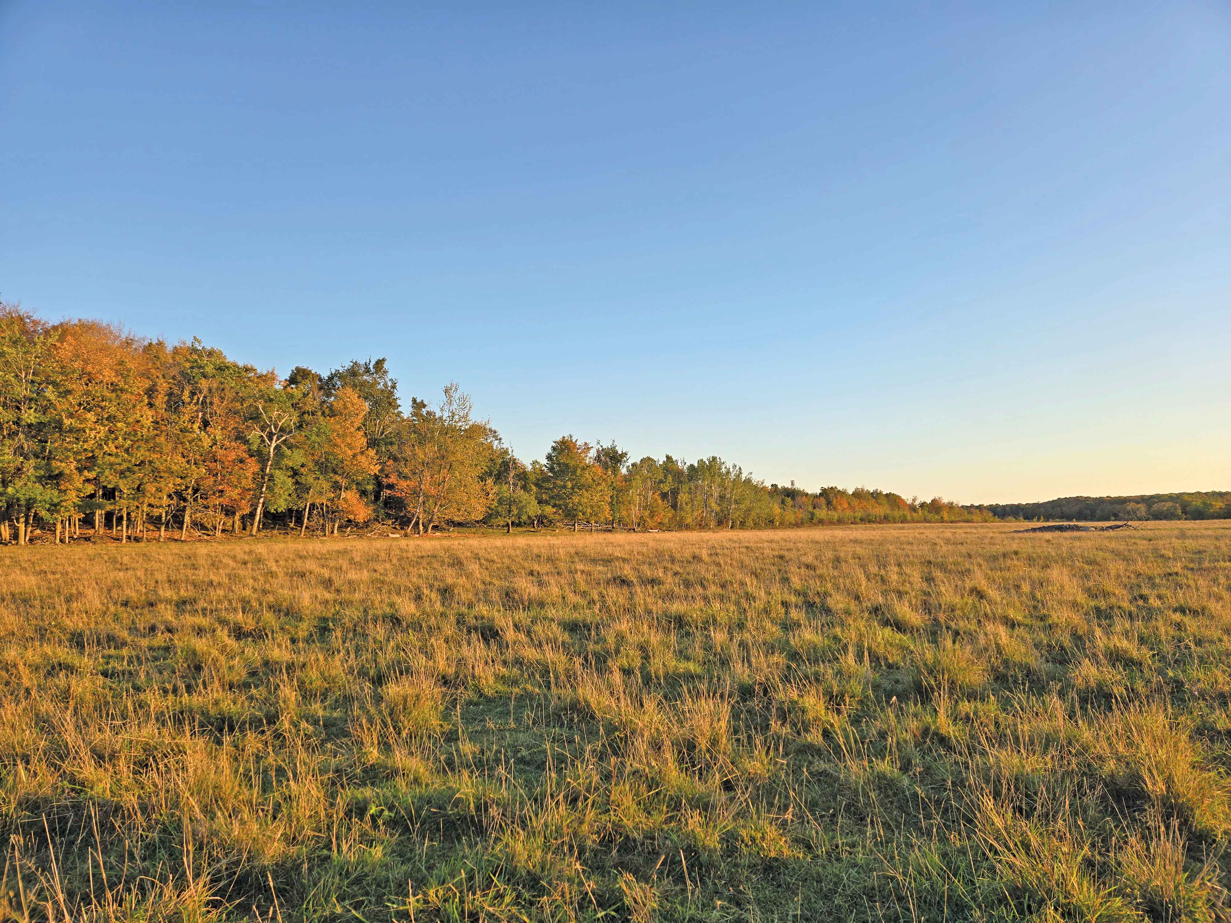 Escarpment Biosphere Conservancy Announces New 100-Acre Wildhaven Nature Preserve Near Cape Chin