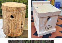 Bruce Men’s Shed Holding Free Spring Bicycle Tuneup