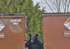 Increased Bear Sightings in Tobermory This Spring