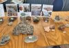 Friends of the Library AGM Features Local Geology Presentation