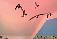 Canadian Artists Help Flowerpot Lighthouse Museum Upgrade Take Flight