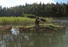 Defending the Peninsula’s National Parks from Invasive Plant Species