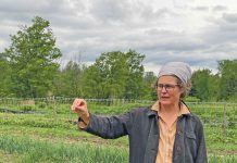 Bruce Peninsula Environment Group Visits Persephone Market Garden