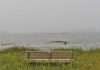 Northern Bruce Peninsula Fire Issues Air Quality Advisory and High Fire Danger Rating