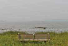 Northern Bruce Peninsula Fire Issues Air Quality Advisory and High Fire Danger Rating