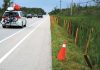 John’s Column: Protecting Snakes and Turtles from Too Much Traffic