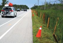 John’s Column: Protecting Snakes and Turtles from Too Much Traffic