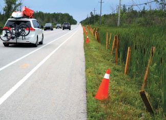 John’s Column: Protecting Snakes and Turtles from Too Much Traffic