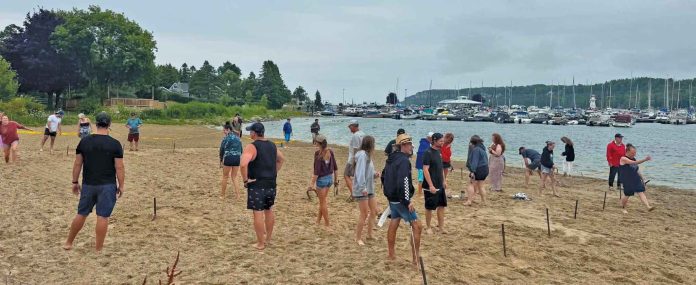Horseshoes-#14-26-crowd