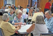 Games Day a Huge Success at the Lion’s Head Friendship Club