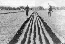 Bruce County Memories – Plowing: The Satisfaction of a Straight Furrow