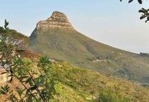Lion’s Head South Africa: Can You Spot the Lion’s Head?